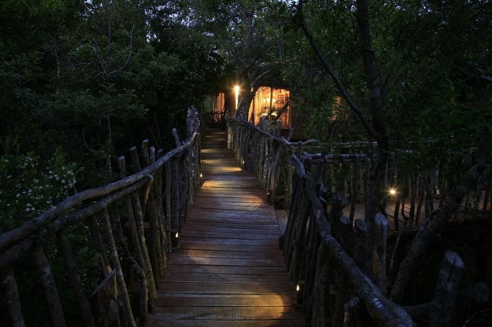 Tree Lodge Nidos De Pucón Esterno foto
