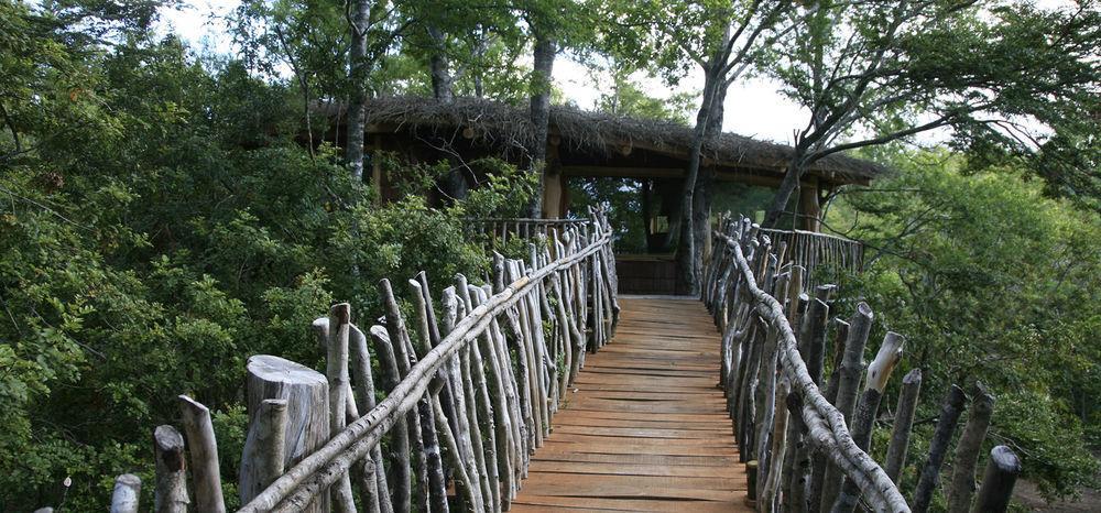Tree Lodge Nidos De Pucón Esterno foto