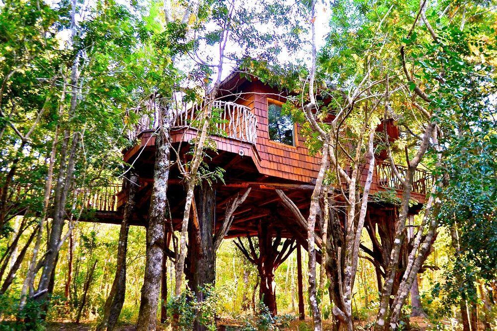 Tree Lodge Nidos De Pucón Esterno foto