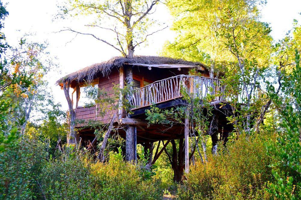 Tree Lodge Nidos De Pucón Esterno foto
