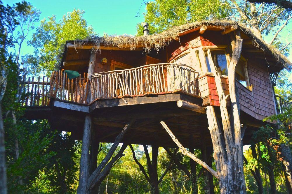 Tree Lodge Nidos De Pucón Esterno foto