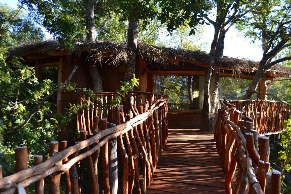 Tree Lodge Nidos De Pucón Esterno foto
