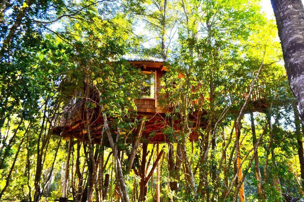 Tree Lodge Nidos De Pucón Esterno foto