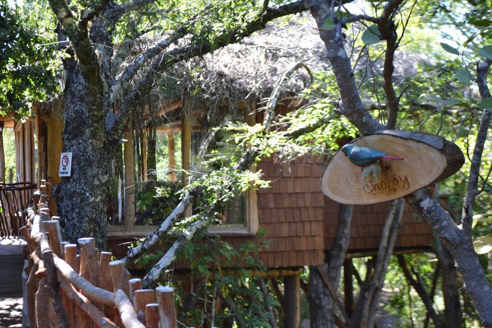 Tree Lodge Nidos De Pucón Esterno foto
