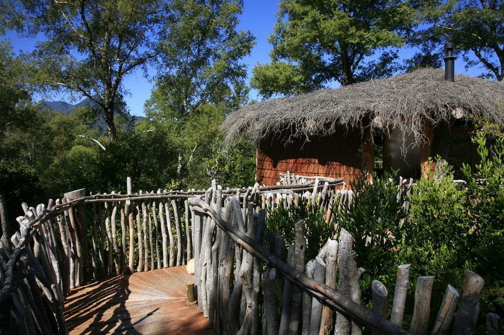 Tree Lodge Nidos De Pucón Esterno foto