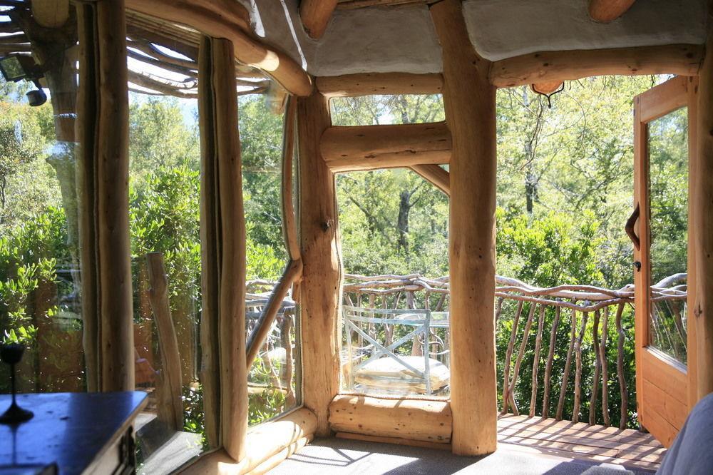 Tree Lodge Nidos De Pucón Esterno foto