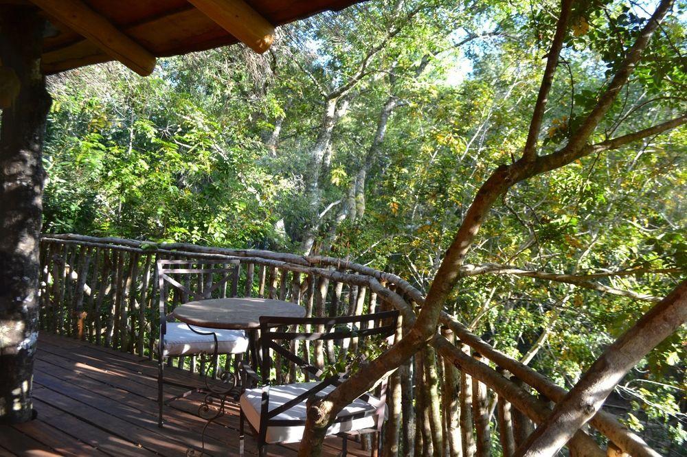 Tree Lodge Nidos De Pucón Esterno foto