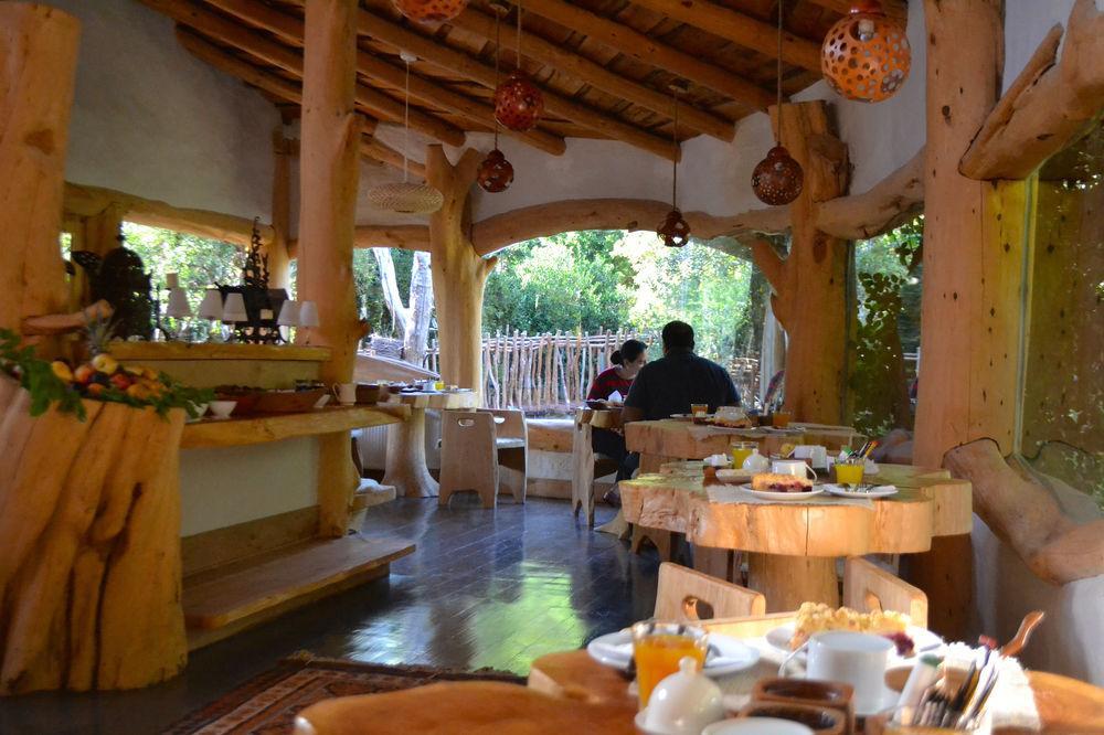 Tree Lodge Nidos De Pucón Esterno foto
