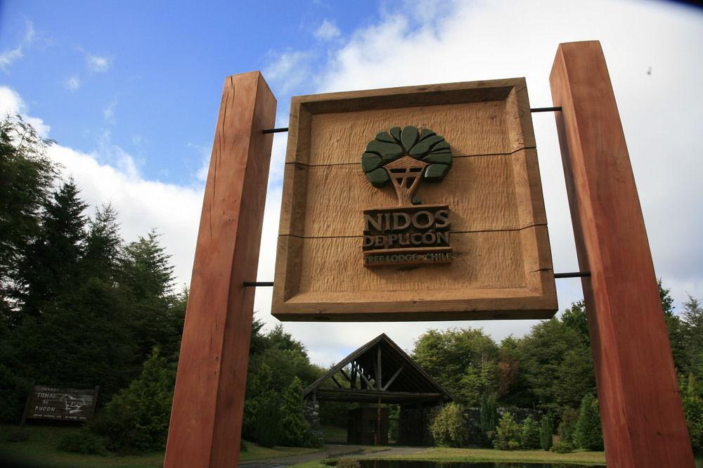 Tree Lodge Nidos De Pucón Esterno foto