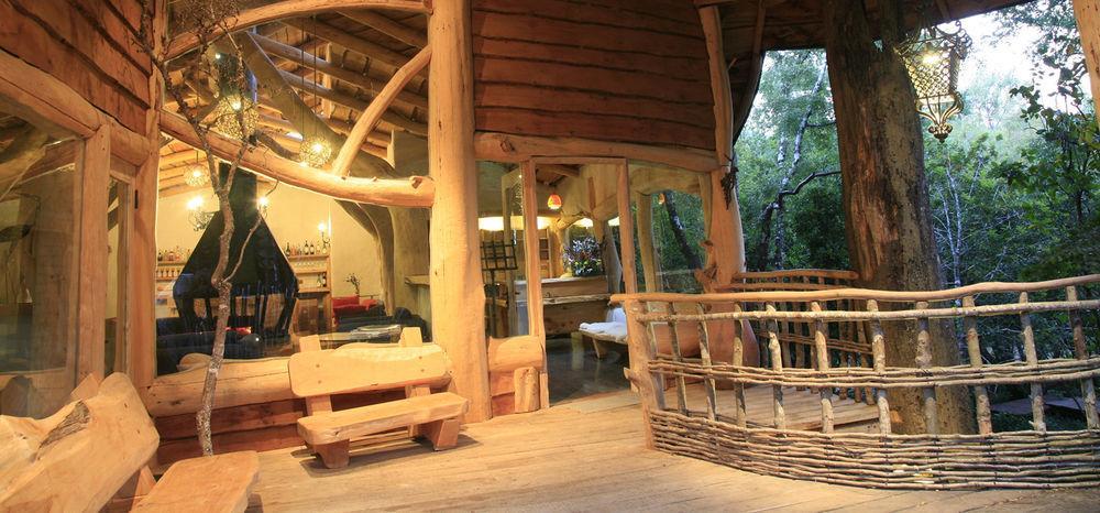 Tree Lodge Nidos De Pucón Esterno foto